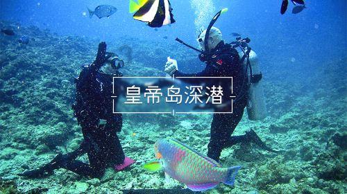 流星蝴蝶剑